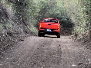2024 Toyota Tacoma TRD - driving into woods