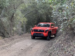 2024 Toyota Tacoma TRD - driving out of woods