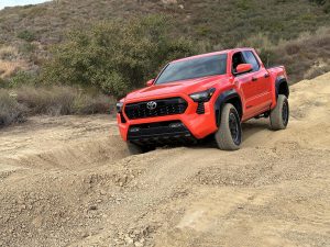 2024 Toyota Tacoma TRD - in mogul