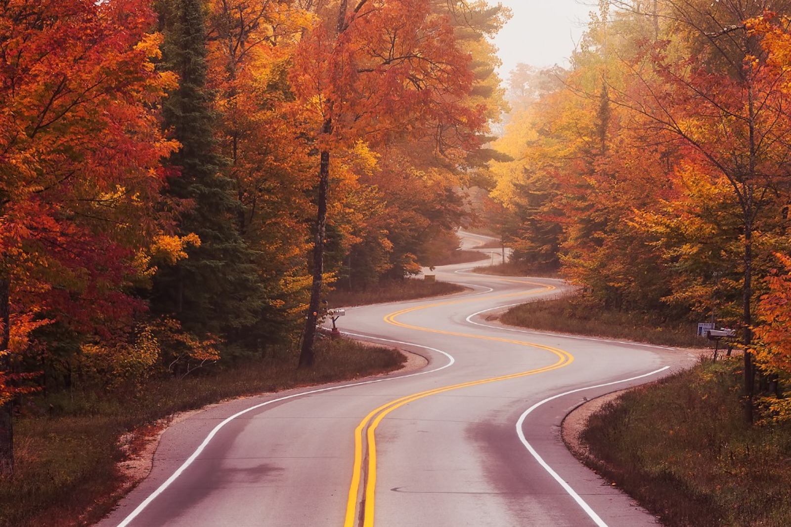 fall driving road
