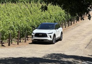 2025 Infiniti QX80 - driving front 3-4 in vineyard