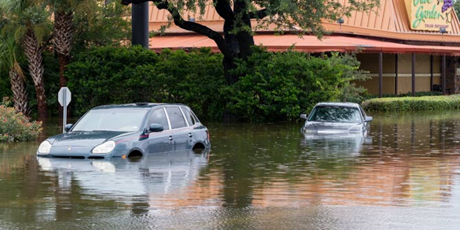 Flooded cars