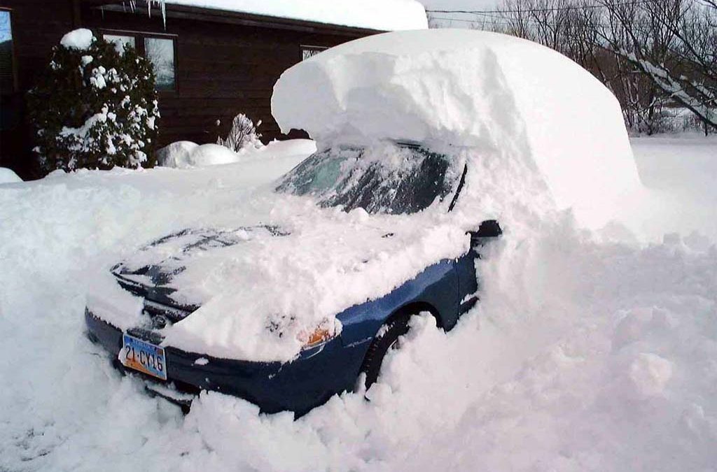 It Takes a Few Snowstorms in New Orleans to Remind Us Why There are Winter Tires