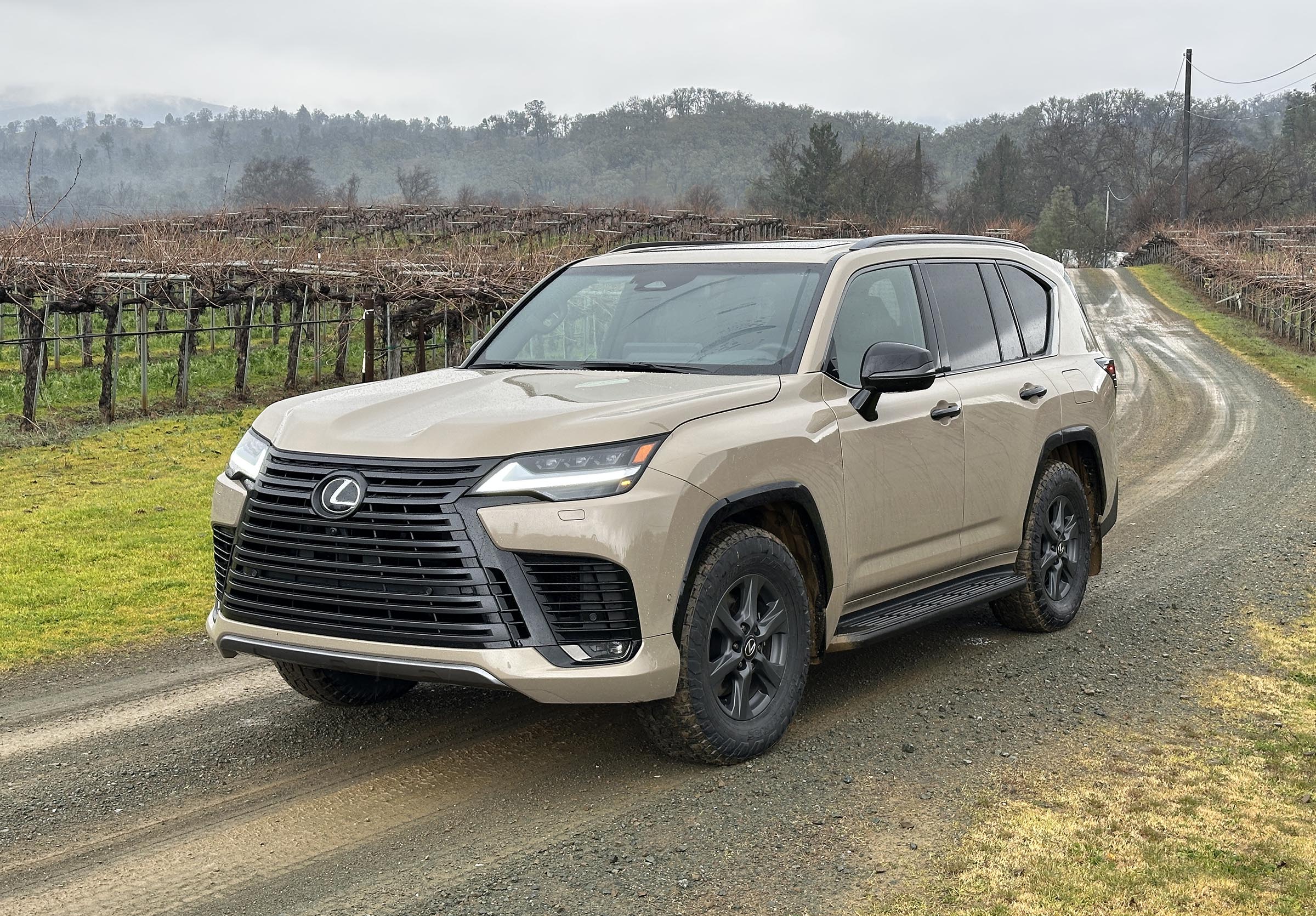 2025 Lexus LX 700 h - front 3-4 in vineyard v2