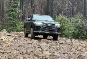 2025 Lexus LX 700 h - off-road best