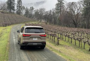 2025 Lexus LX 700 h - rear 3-4 in vineyard