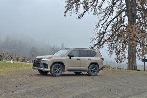 2025 Lexus LX 700 h - under tree