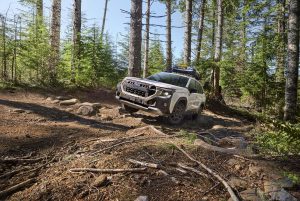 2026 Subaru Forester Wilderness - on trail