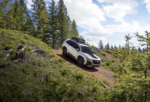 2025 Subaru Forester Wilderness - downhill