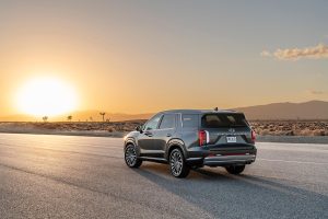 2023 Hyundai Palisade - rear 3-4 with sun REL