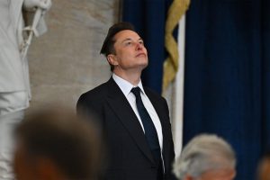 Elon Musk - stoned