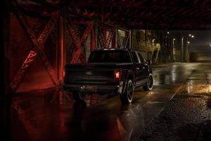 Ford F-150 Lobo - rear 3-4
