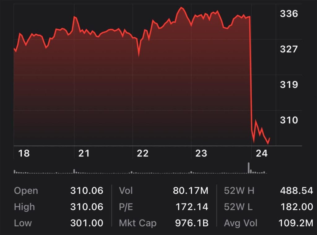 Tesla Stock Price 7-24-25