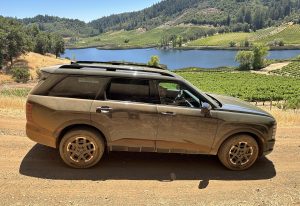 2026 Hyundai Palisade Calligraphy - profile vineyard