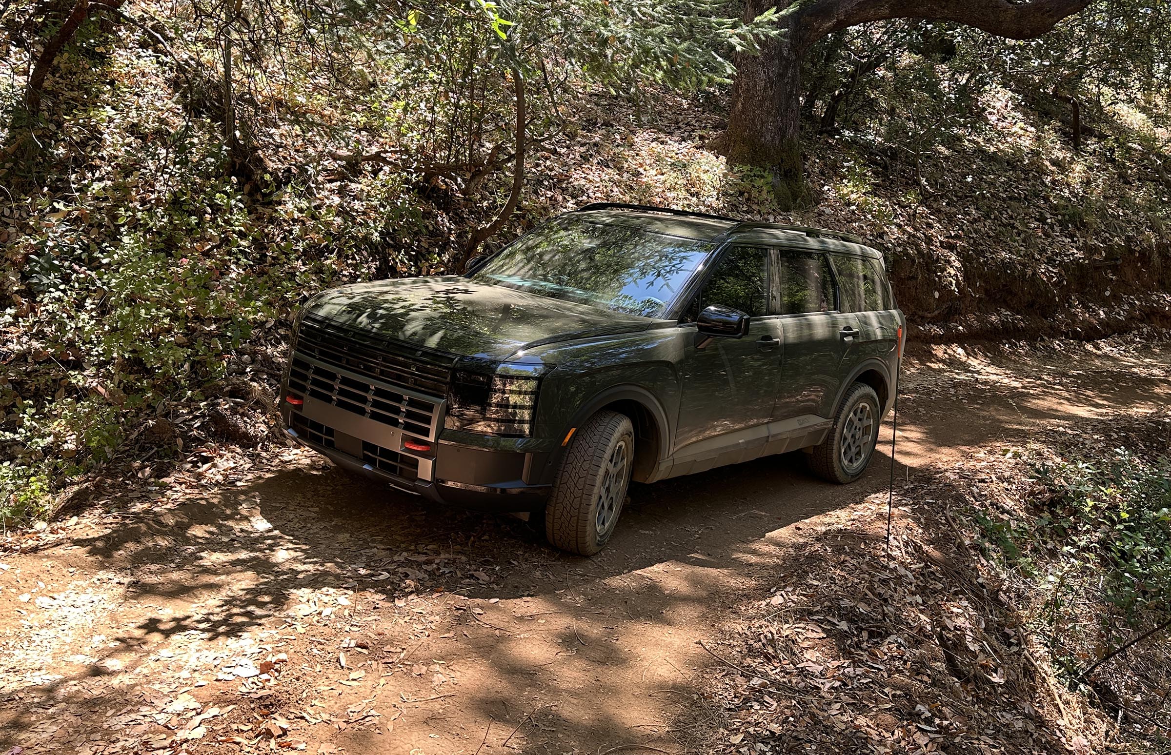 2026 Hyundai Palisade XRT Pro – in woods 2026 Hyundai Palisade XRT Pro - in woods