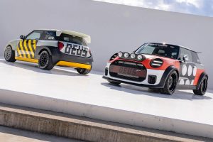 Mini Skeg and Machina - hero shot 2
