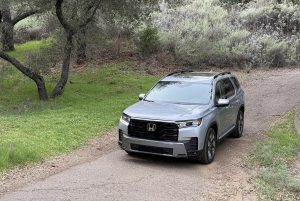 Honda Pilot - in woods front 3-4