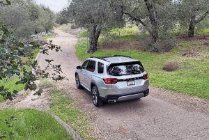 Honda Pilot - in woods rear 3-4 v2