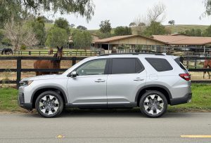 Honda Pilot - side and horse