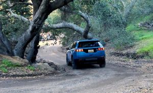 2026 Jeep Cherokee - driving under branch rear