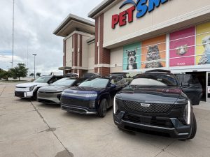 2026 Frodo EV fleet