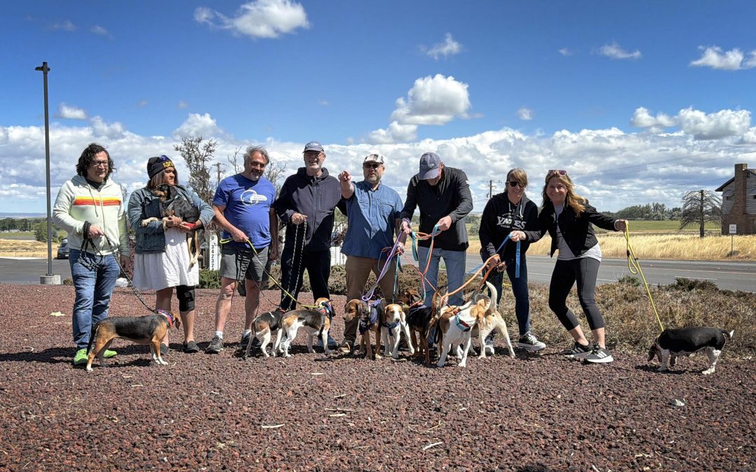 Honey & Me: How a Cross-Country Trip, 16 Dogs in Tow, Changed Everything