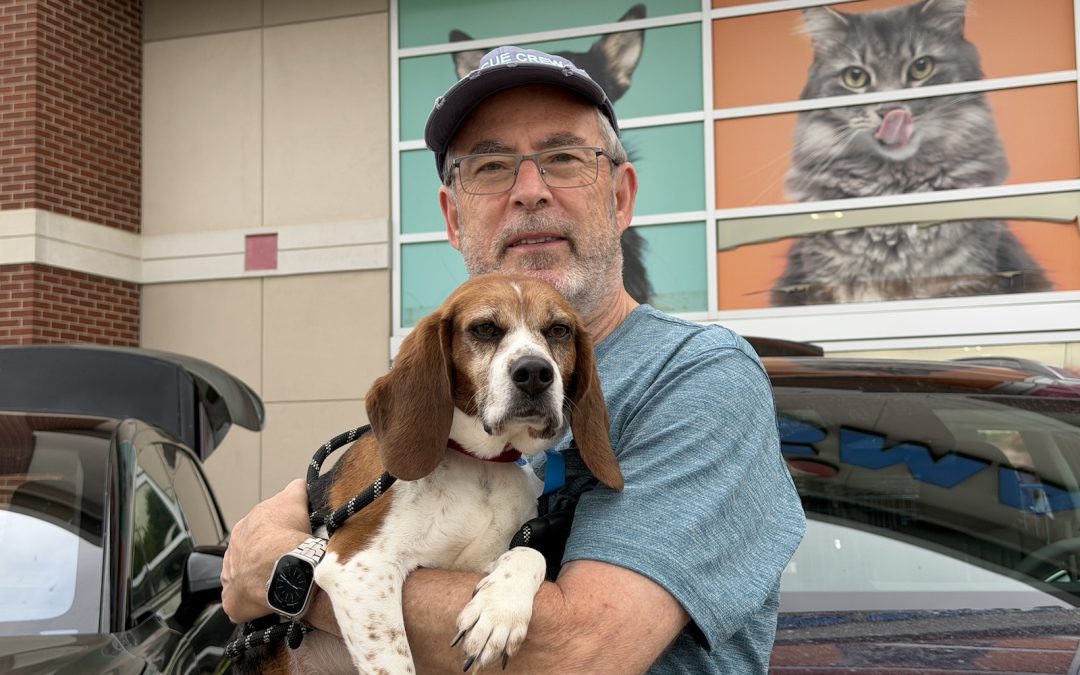 Doggone: On Dog Rescues and EVs